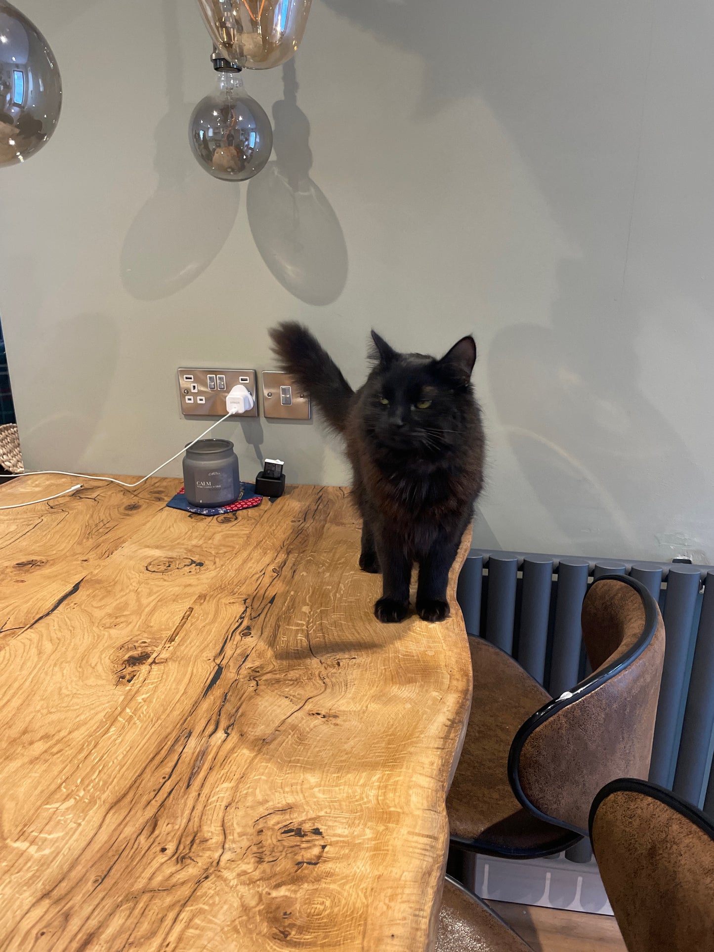 Quercia Live Edge Character Oak Breakfast Bar - FocusFive Designs