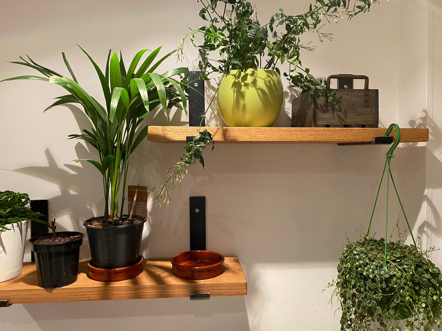 Rustic Character Oak Folded Bracket Shelves | 9 Inch Depth - FocusFive Designs